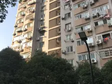 近10号线龙柏新村站500米 电梯房 南北两房 税费少