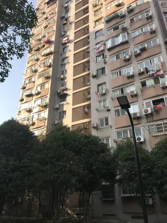 龙柏易居