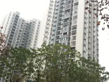 轨道边正规四室,中间楼层,户型方正,业主急售!