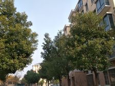 一梯两户,大两房,品质小区,近商圈,采光充足,房型正气
