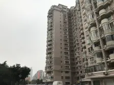 世纪公园大景观 精装修带地暖 随时看房 拎包入户