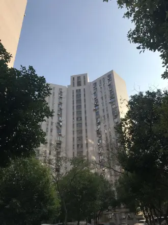 龙柏易居
