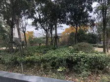 双南两房大客厅,近商C和地铁,业主诚心出售,价可谈