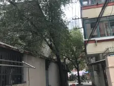 一楼带天井,边套全明两房一厅一卫,十年出一套