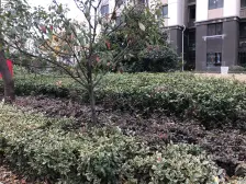 精装好房,现代风格,小区中心位置,南北通透,电梯房