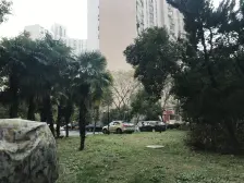 龙柏易居公寓 南北两房 精装修 拎包入住