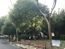 采光好;楼层高;近地铁;电梯商品房;自住装修;