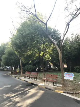 龙柏易居