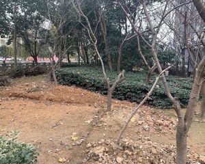 精装修领包入住诚心出售看房方便