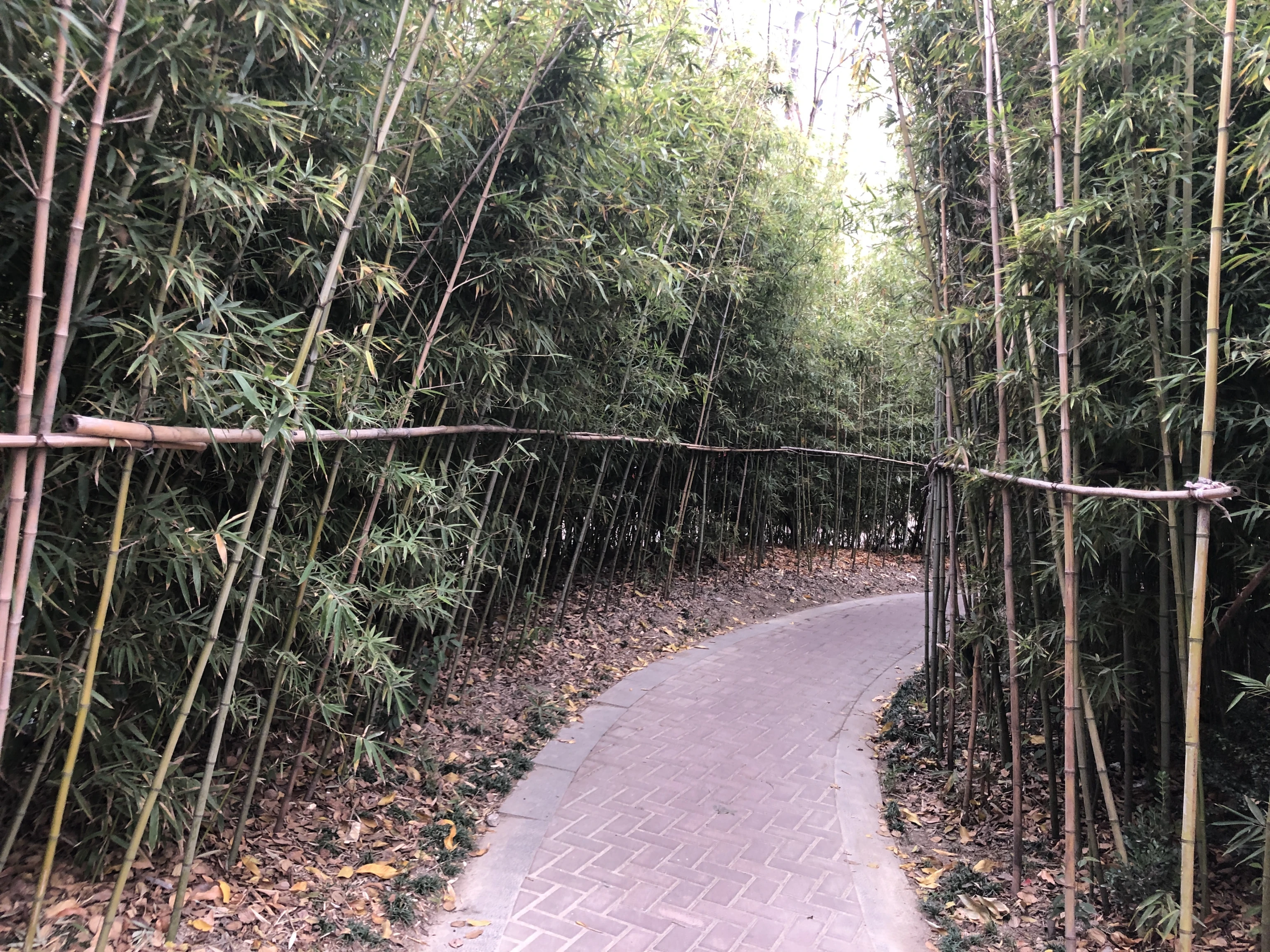 房东诚心卖!中楼层采光好!欢迎来看你的新家