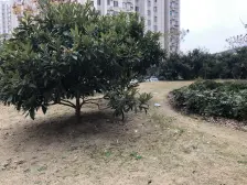 7号线沿线旁大三房业主诚心出售看房有钥匙