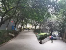 房子户型方正,采光好,视野开阔,随时看房