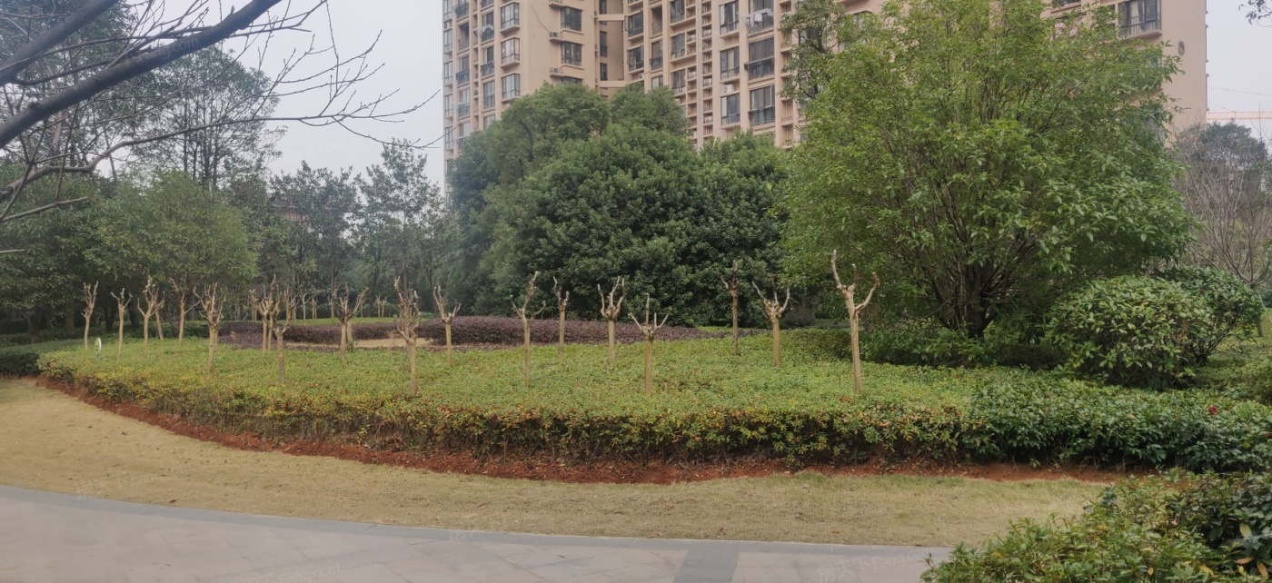联泰香域滨江桥郡图片相册,户型图,样板间图,装修效果图,实景图-南昌