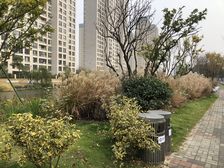 东寅商座靠东部银泰城好房推荐
