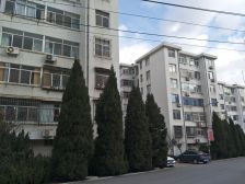 【新城北街】| 莱山区城前街103号内10号