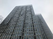 金东岸 1室1厅 西南 西北