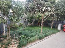 沂南路54弄1室1厅南