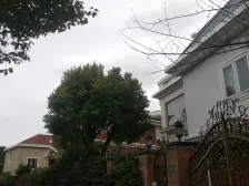 独栋别墅,房子带大花园,满二年,诚意出售,看房随时