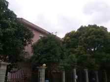 北蔡·绿苑别墅·2室·3厅