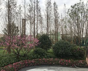 小区品质高好楼层视野好,楼间距大