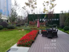 小区人车分流.楼间距宽.南北通透