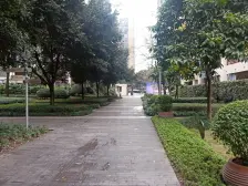 小高楼电梯,户型方正,板式结构,楼层好,视野开阔