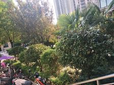 盛世华庭2室2厅西南
