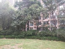 豫森时代新城3室2厅南