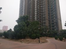 复试楼,户型格局好,通透,采光足,毛坯,有证
