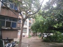 西苑小区,小区环境好,出行方便,院内可停车随时看房