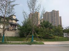 五矿·万境水岸3室2厅南