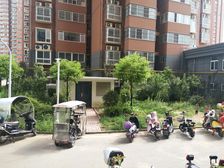 金建悦和园小区交通便利小区环境干净舒适适合居住