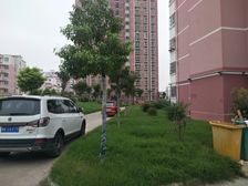 西南户两卧朝南采光好毛坯房