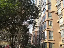 满五 交通便利 近医院 临地铁 商圈成熟 楼龄新