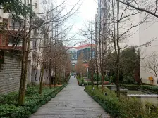 电梯洋楼顶跃精装,多个露台,客厅挑高