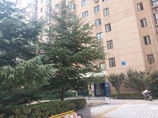 此房包更名,出行方便,户型方正,成熟,居住方便