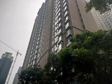 复式,电梯毛坯,随意装修,省心省力