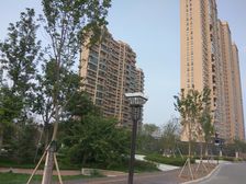 洋房,一楼带院,带车位,三室两厅两卫,毛坯随意装修