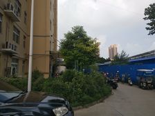 飞行社区,大型小区,小区环境好,随时看房