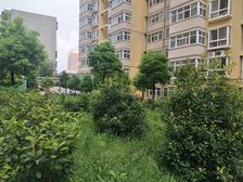 飞翔社区83平两室采光好房东急售