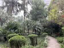 电梯房 住家小区在党校里,环境优美,业主诚心出售