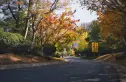 阳光100阿尔勒实景图