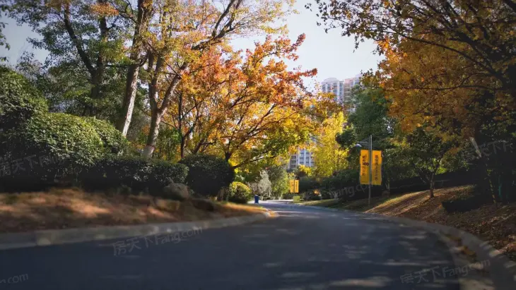 阳光100阿尔勒实景图