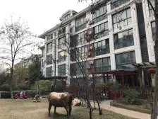 多层洋房一层带大院子,业主诚心出售