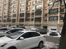 龙腾嘉苑 植物园旁 南北通透 精装修 采光好