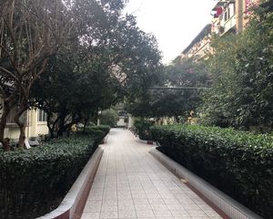 玉林北街8号3室2厅南