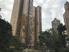 和信香榭澜郡 2室1厅 东南