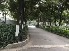 九宫庙 科而士天辰美苑二房