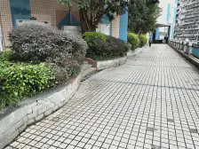 沙龙广场 2室1厅 南