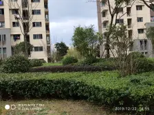 产权清晰 中间楼层 户型方正 清水毛坯 新上房源